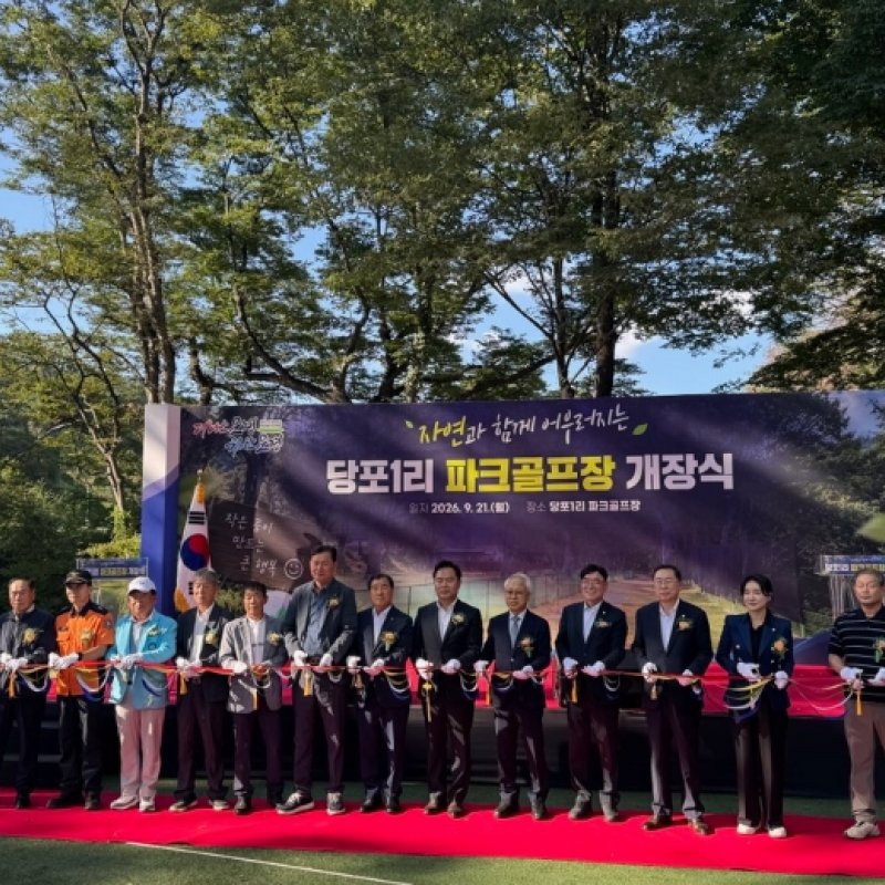 사회일반